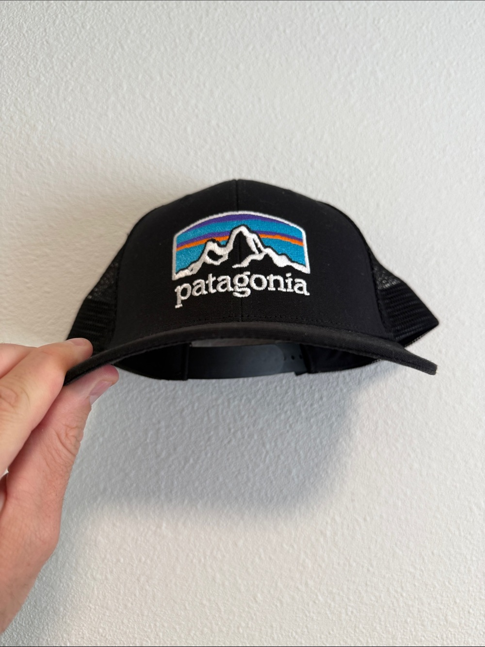 Patagonia Black Trucker Hat with Multicolor Mountain Patch